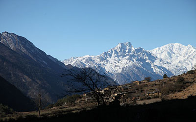 Image Caption